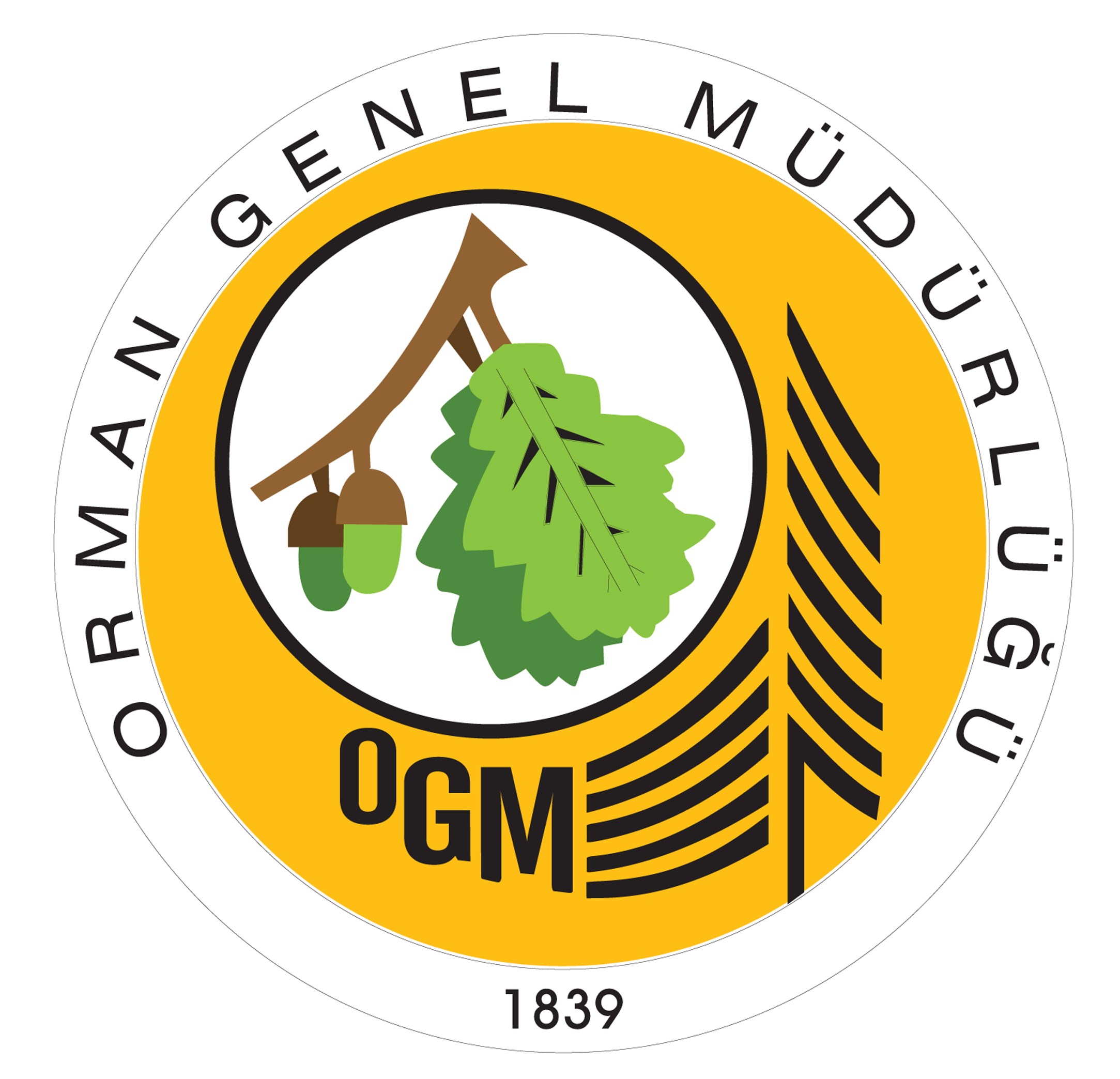 Orman Genel Müdürlüğü